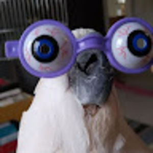 Meet your Posher, Ethan